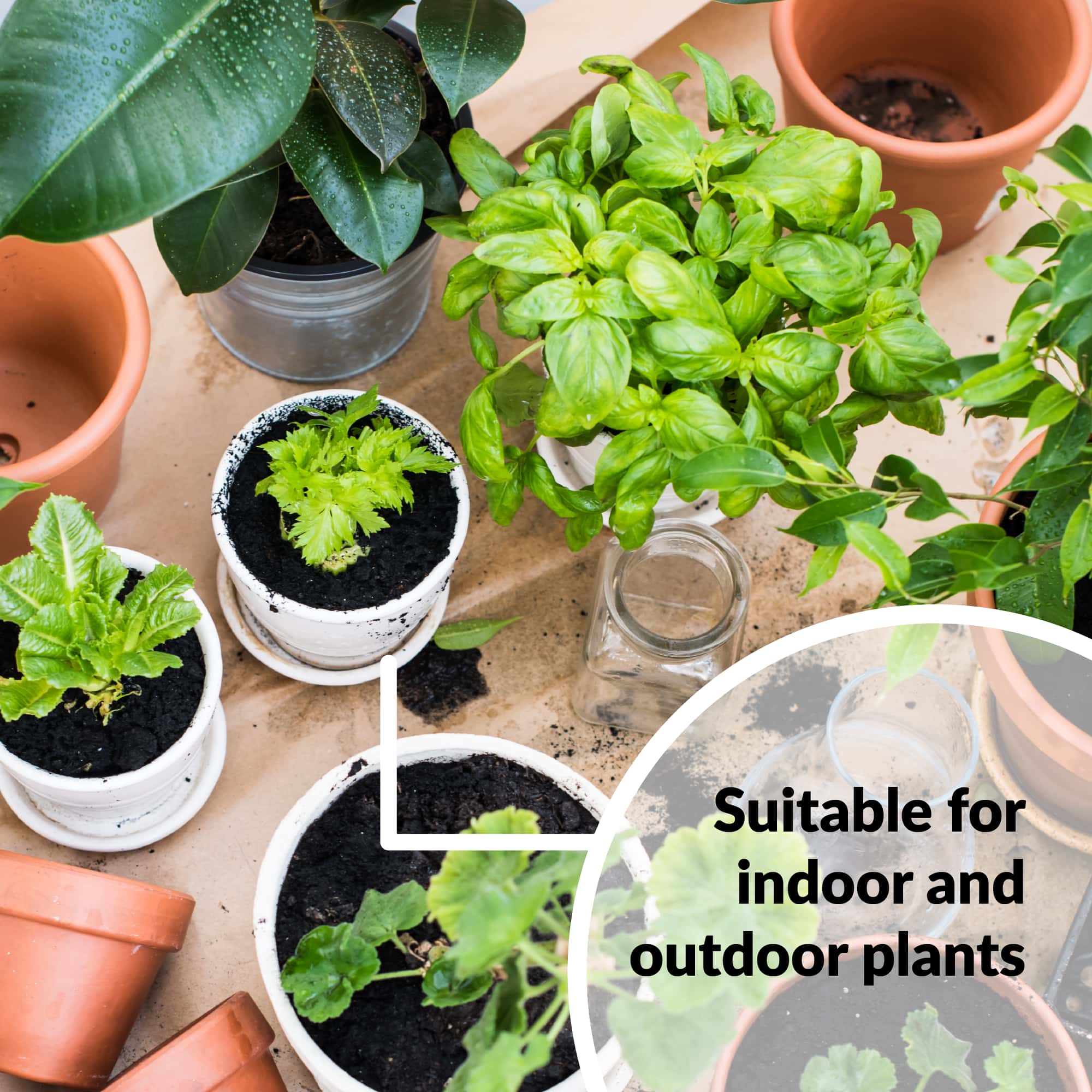 Suitable for indoor and outdoor plants